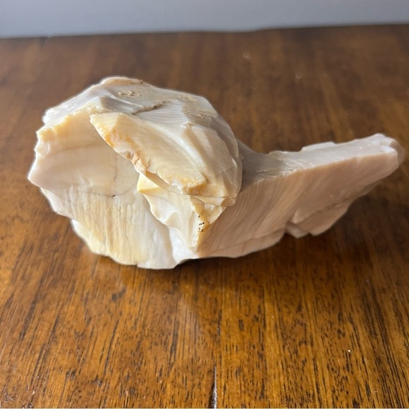 petrified wood 10.7 oz. Very collectible - Picture 4 of 8